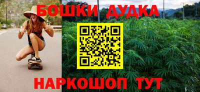 apvp Славгород