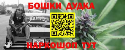 apvp Славгород