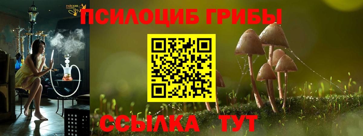 Нижний Тагил  где можно купить   Вход с VPN  Псилоцибиновые грибы Psilocybine cubensis 